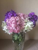 Флокс Блю парадайс (P. Oudolf 1990 г.)